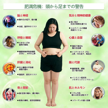 🍀公式旗艦店 /ANGELTRAP®＆NAD+ 10-in-1 ナノ強化フォーミュラ — 肥満、肌のたるみ、糖尿病、睡眠時無呼吸症候群、関節の悩み、その他健康上の懸念にアプローチ🛡️